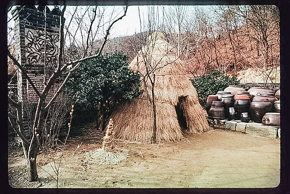 1988_Korea_277