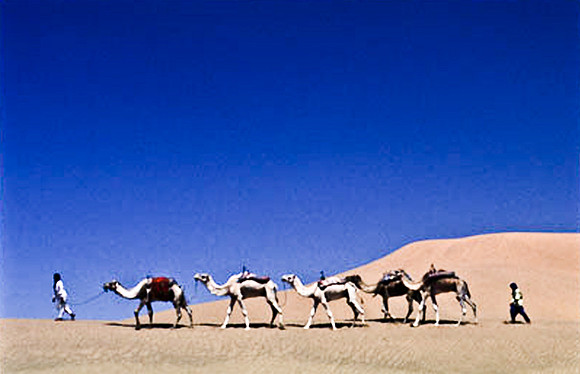 3192_SL_COLOR_TAMGROUTE_DUNES_MAROCCO_II_1998_13
