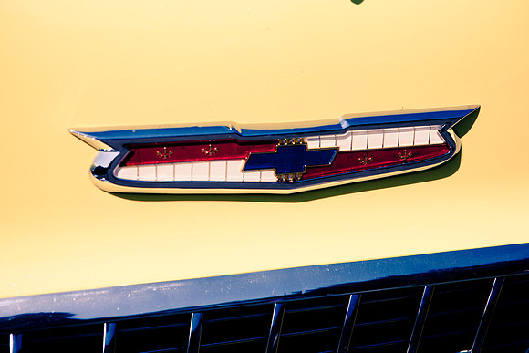 0026_DG_Mill_Valley_CA_USA_2009_5L8Y1858