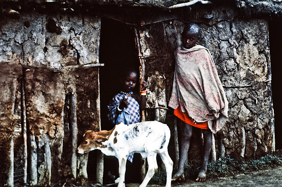 55422_SL_COLOR_TRIBE_CAMP_MASAI_KENYA_AFRICA_1989_4