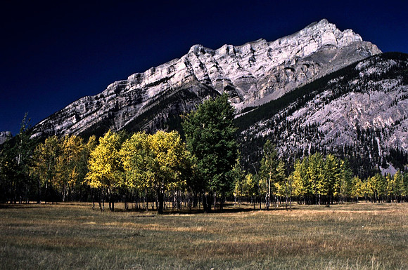06823_B19_SL_COLOR_BISON_NAT_PARK_LAKE_LOUIS_VILLAGE_WS_97_10.jpg