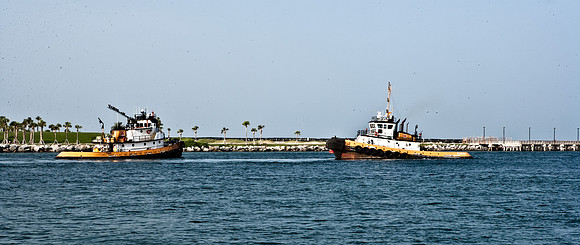 42595_Tug_Boats_Miami_Beach_FL_ZV4N6859