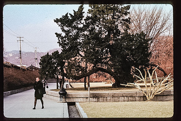 1988_Korea_205
