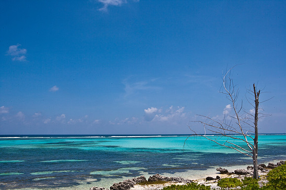 3876_DG_Cayman_Island_Caribbean_ZV4N0602