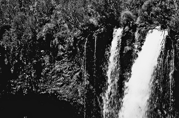 B3_82008_BW_194_New_Amboseli_Africa_89_24