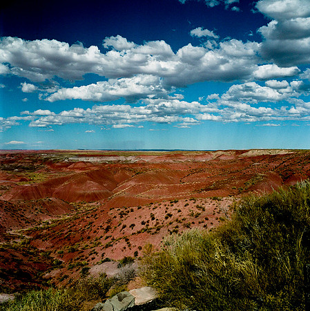 6142_COLOR_SQ_PAINTED_DESERT_AZ_USA_05_6.JPG