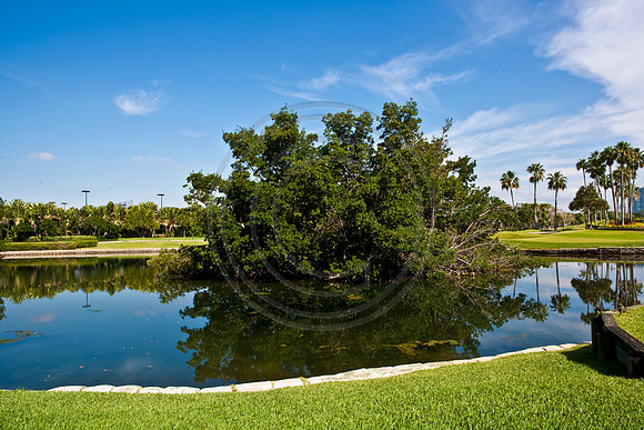 85473_ZV4N1901_Fisher_Island_4_2007