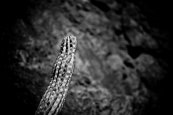 0031_La_Arizona_5L8Y5609