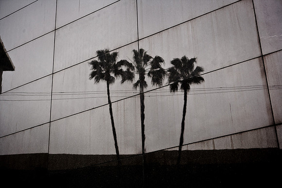 06617_DG_CALIFORNIA_USA_2007_ZV4N_9306