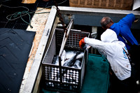 06588_ZV4N_3681_DG_COLOR_BODEGA_BAY_CALIFORNIA_CA_2007_USA