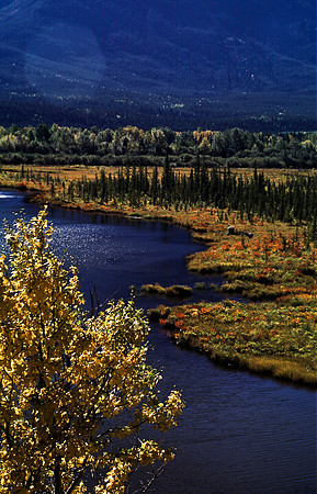 06838_B19_SL_COLOR_LAKE_LOUISE_TO_BANFF_BC_WS_97_14.jpg