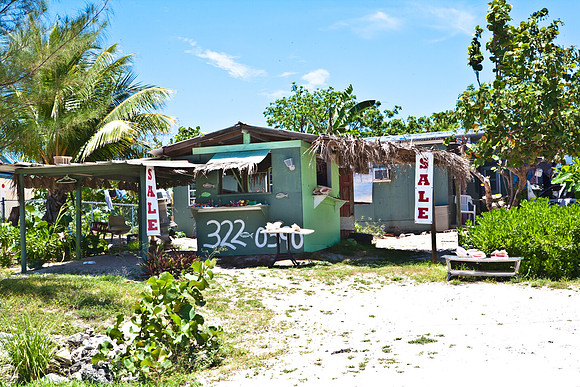 3876_DG_Cayman_Island_Caribbean_ZV4N0810