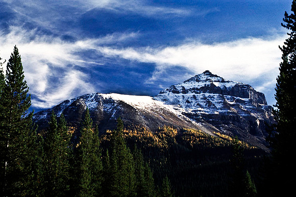 06818_B19_SL_COLOR_ROGERS_PARK_TO_GREAT_DIVIDE_YOHO_PARK_BC_WS_97_09.jpg
