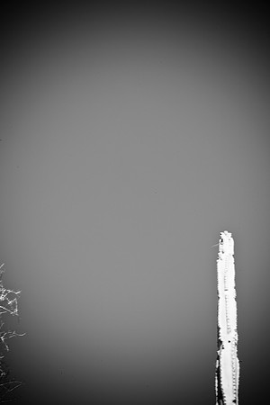 0031_La_Arizona_5L8Y5334