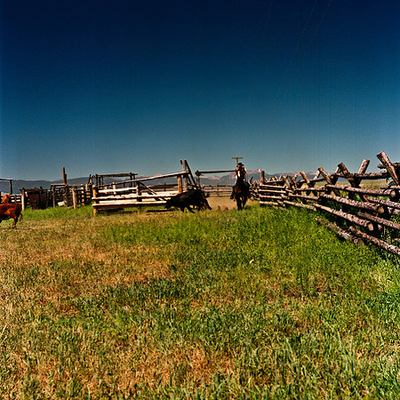 2407_FM_COLOR_ID_02_3.jpg