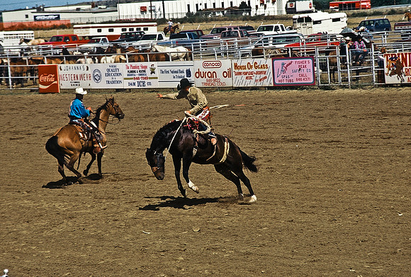 47494_B6_SL_COLOR_TRINIDAD_RODEO_CO_97_09.jpg
