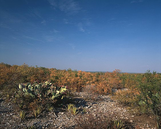 4000_20080719_ADS_Mexican_Landscape_Mexico_P095