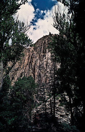 37862_B15_SL_COLOR_CIMARRON_TO_CARSON_NF_LOOP_TO_TAOS_HWY56_NM_97_15.jpg