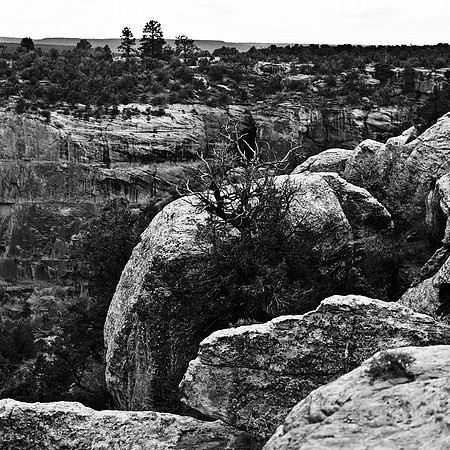 6099_HWY_12_Canyon_De_Chilly_Spider_RoCK_AZ_05_3.jpg