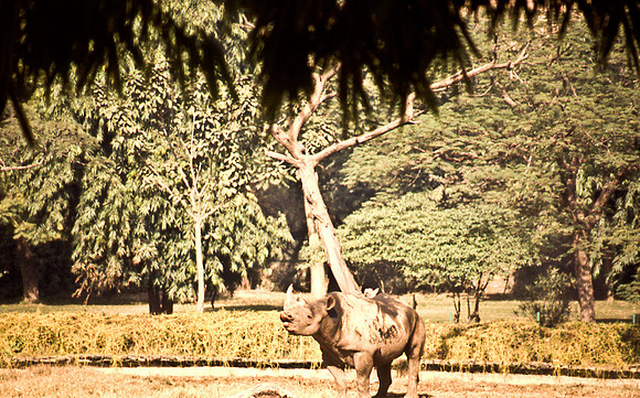 47298_SL_COLOR_INDIA_1987_15