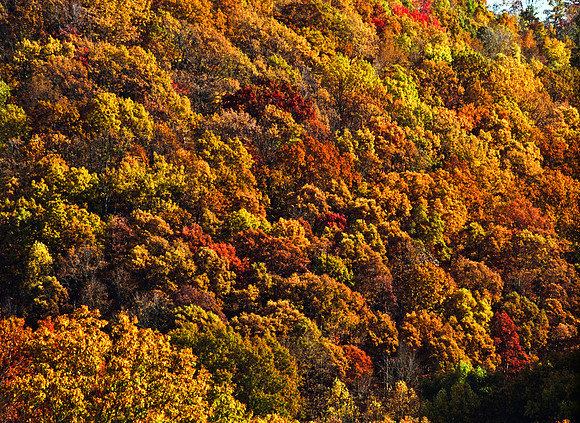 0258_FM_COLOR_MINESOTA_99_74.jpg
