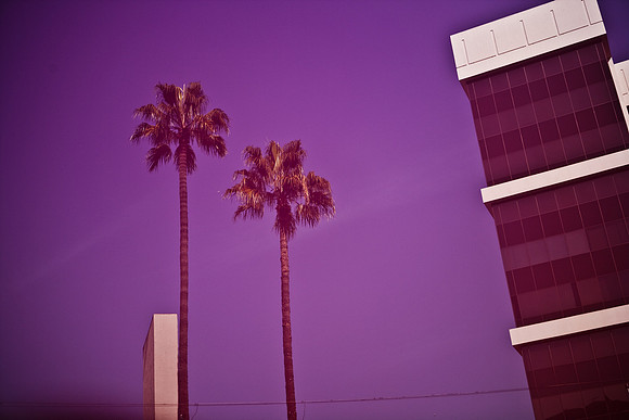 06626_DG_CALIFORNIA_USA_2007_ZV4N_8425