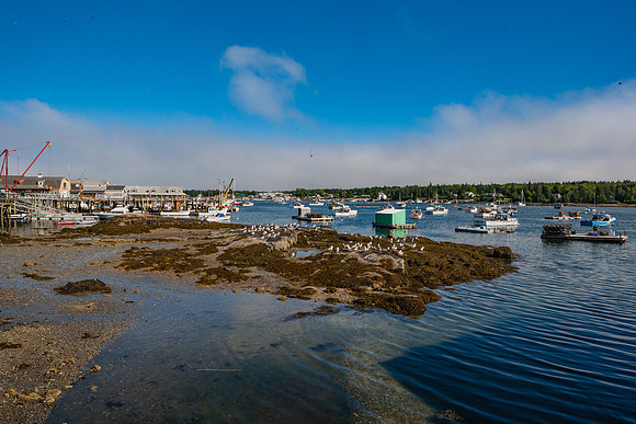 20060628_Maine_ZV4N1175