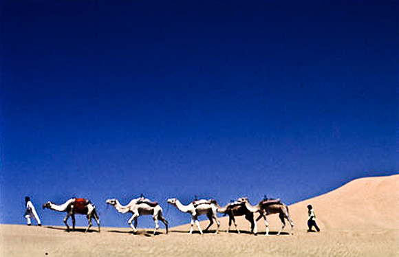 3192_SL_COLOR_TAMGROUTE_DUNES_MAROCCO_II_1998_14
