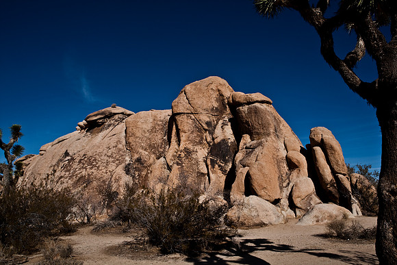 06646_DG_COLOR_JOSHUA_TREE_NAT_PARK_29_PALMS_CALIFORNIA_CA_USA_2007_ZV4N_439