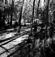 7587_fm_bw_xpand_MANDACINO_CA_01_7.jpg
