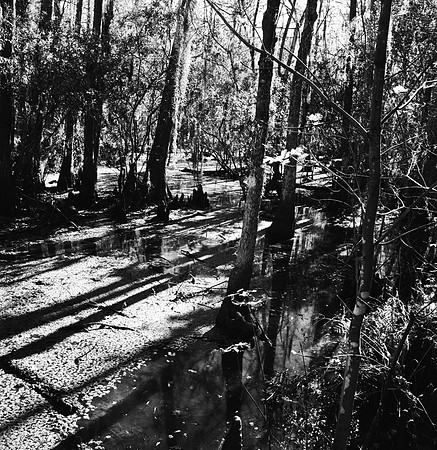 7587_fm_bw_xpand_MANDACINO_CA_01_7.jpg