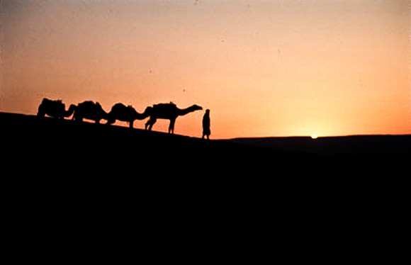 3206_SL_COLOR_MERZOUGA_SHAHARA_MAROCCO_II_1998_13