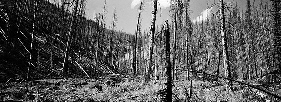 7551_FM_BW_XPAND_AZ_01.jpg