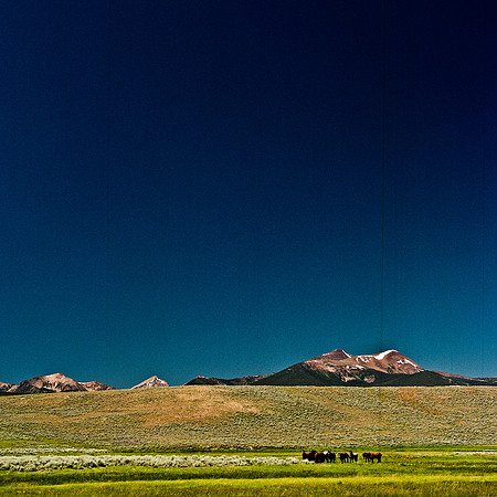 2408_FM_COLOR_ID_02_10.jpg