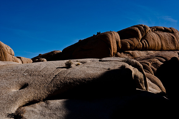 06646_DG_COLOR_JOSHUA_TREE_NAT_PARK_29_PALMS_CALIFORNIA_CA_USA_2007_ZV4N_466