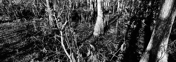 7749_FL_BW_LOUISIANA_01_10.jpg