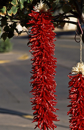 37883_B15_SL_COLOR_JEMEX_TO_SANTA FE_NM_97_07.jpg