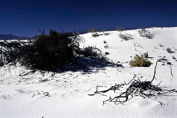 47896_B16_SL_COLOR_LA_MESILLA0_TO_WHITE_SOUNDS_NAT_MNY_HWY20_NM_97_0101.jpg