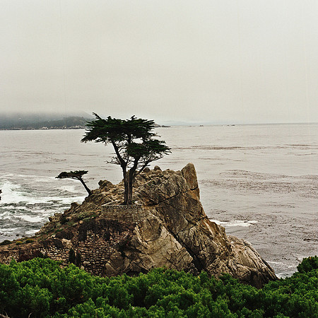 2369_FM_COLOR_CARMEL_CA_02.jpg