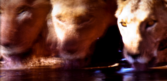 2905_DG_Lincoln_Road_Mouvie_Earth_Maimi_Beach_FL20090426-5L8Y6939