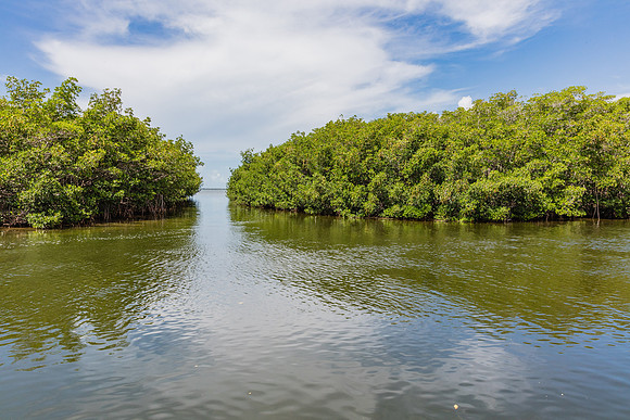 20160711_Key_West__75A0046
