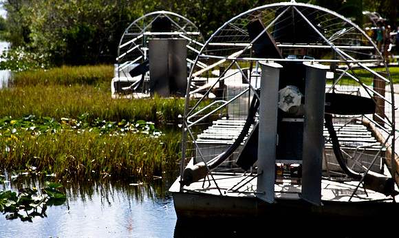 2527_EVERGLADES_MIAMI_FLORIDA_AOM_20090315__A0M1238