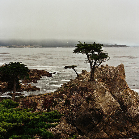 2369_FM_COLOR_CARMEL_CA_02_10.jpg