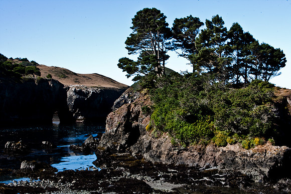 36538_DG_COLOR_MENDOCINO_CALIFORNIA_CA_USA_2007_ZV4N_2666