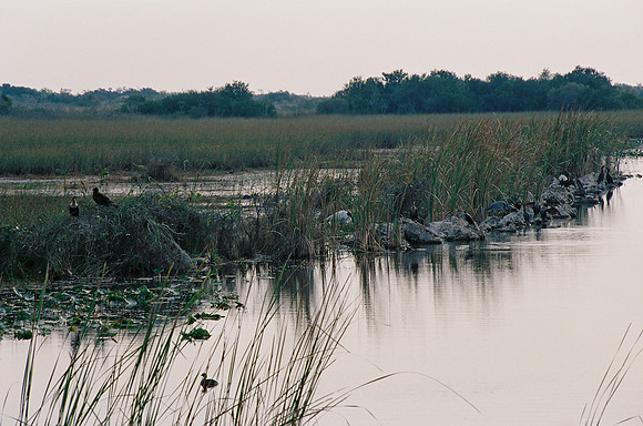 84694_EVERGLADES 33936__Azuley-R1-32A 1