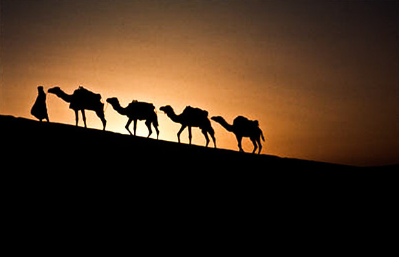 3202_SL_COLOR_MERZOUGA_SHAHARA_MAROCCO_II_1998_7