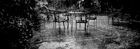 7713_FM_BW_NEW_ORLEANS_LA_01_2.jpg