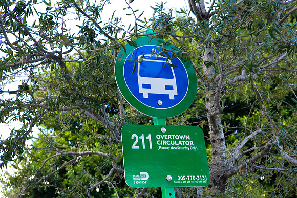 84781_ZV4N8045_FL_Miami_USA