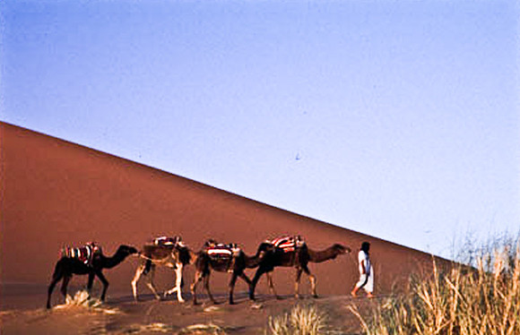 3208_SL_COLOR_MERZOUGA_SHAHARA_MAROCCO_II_1998_6