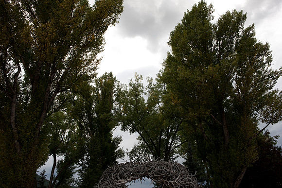 0019_Aspen_To_Jackson_Hole_Wyoming_5L8Y7079